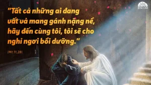 Manna: Con ngợi khen Cha (Chúa nhật 14 thường niên - năm A, Mt 11,25-30) Manna: Con ngợi khen Cha (Chúa nhật 14 thường niên - năm A, Mt 11,25-30)