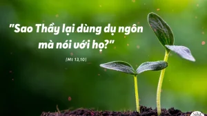 Manna: Anh em thật có phúc (Thứ Năm Tuần 16 Thường niên - Mt 13,10-17) Manna: Anh em thật có phúc (Thứ Năm Tuần 16 Thường niên - Mt 13,10-17)