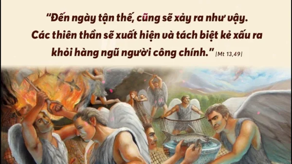 Manna: Vui mừng bán đi mà mua (Chúa nhật 17 Thường niên Năm A, Mt 13,44-52)