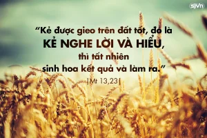 Manna: Cải tạo thửa đất ( Thứ Sáu Tuần 16 Thường niên, Mt 13, 18-23) Manna: Cải tạo thửa đất ( Thứ Sáu Tuần 16 Thường niên, Mt 13, 18-23)