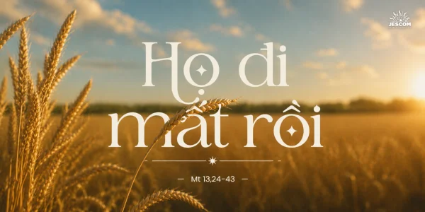 Họ đi mất rồi | Suy tư Tin Mừng CN XVI Thường Niên - Năm A