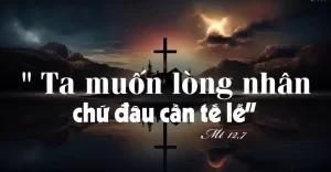 Manna: Ta muốn lòng nhân (Thứ Sáu Tuần 15 Thường niên - Mt 12,1-8) Manna: Ta muốn lòng nhân (Thứ Sáu Tuần 15 Thường niên - Mt 12,1-8)