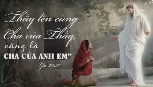 Manna: Họ để Người ở đâu? (Lễ kính thánh Maria Mađalêna - Ga 20,1-2.11-18) Manna: Họ để Người ở đâu? (Lễ kính thánh Maria Mađalêna - Ga 20,1-2.11-18)