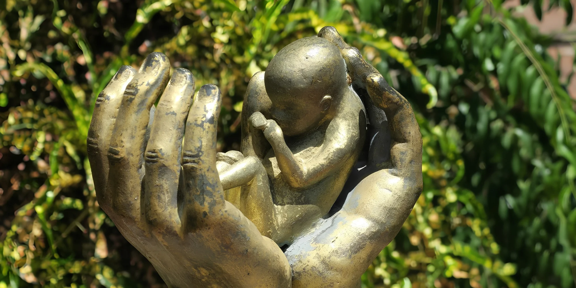 Bảo vệ sự sống - lời mời gọi của Đức Thánh Cha trong một thế giới còn nhiều đe dọa đối với sự sống Bảo vệ sự sống - lời mời gọi của Đức Thánh Cha trong một thế giới còn nhiều đe dọa đối với sự sống