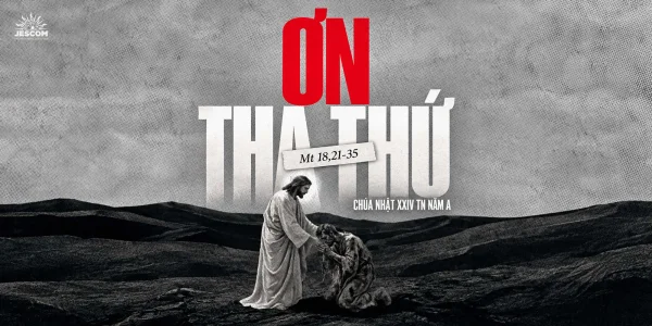 Ơn Tha Thứ | Suy tư Tin Mừng CN XXIV Thường Niên - Năm A