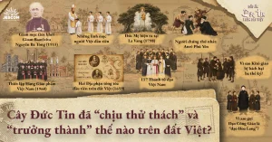 Dấu Ấn Đức Tin Trên Đất Việt | Cây Đức Tin đã “chịu thử thách” và “trưởng thành” thế nào trên đất Việt? Dấu Ấn Đức Tin Trên Đất Việt | Cây Đức Tin đã “chịu thử thách” và “trưởng thành” thế nào trên đất Việt?